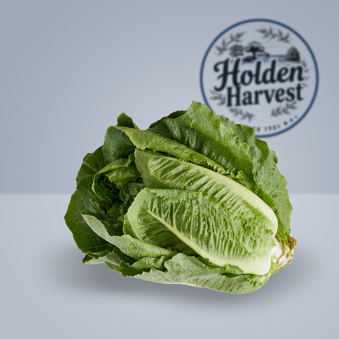 Romaine Lettuce	1